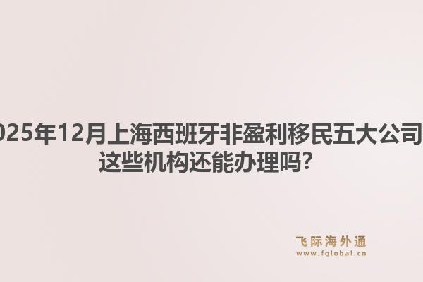 2025年12月上海西班牙非盈利移民五大公司？这些机构还能办理吗？