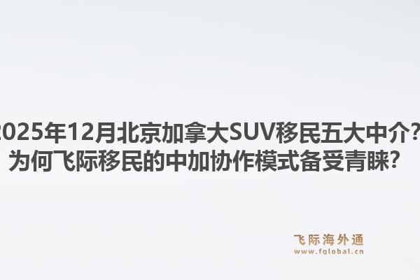 2025年12月北京加拿大SUV移民五大中介？为何飞际移民的中加协作模式备受青睐？