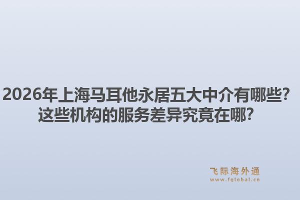 2026年上海马耳他永居五大中介有哪些？这些机构的服务差异究竟在哪？1.jpg