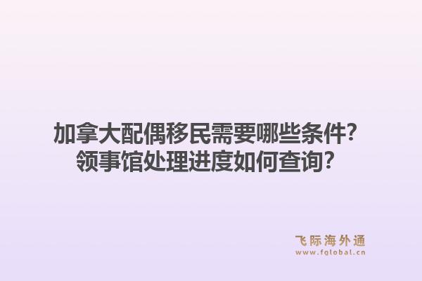 加拿大配偶移民需要哪些条件？领事馆处理进度如何查询？1.jpg