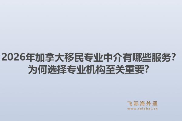 2026年加拿大移民专业中介有哪些服务？为何选择专业机构至关重要？1.jpg