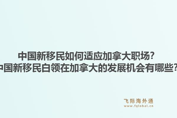 中国新移民如何适应加拿大职场？中国新移民白领在加拿大的发展机会有哪些？1.jpg