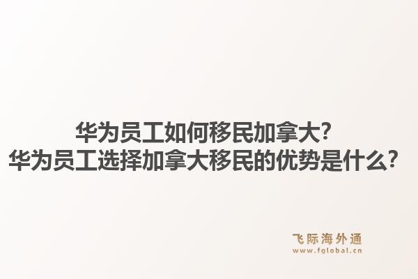 华为员工如何移民加拿大？华为员工选择加拿大移民的优势是什么？1.jpg