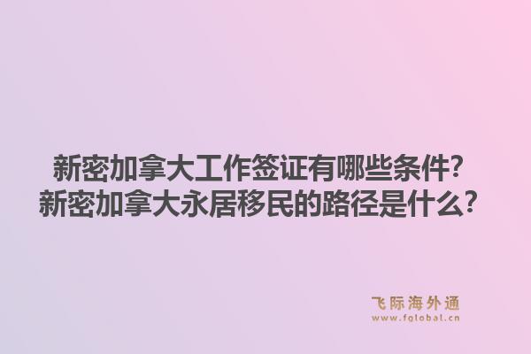 新密加拿大工作签证有哪些条件?新密加拿大永居移民的路径是什么?1.jpg