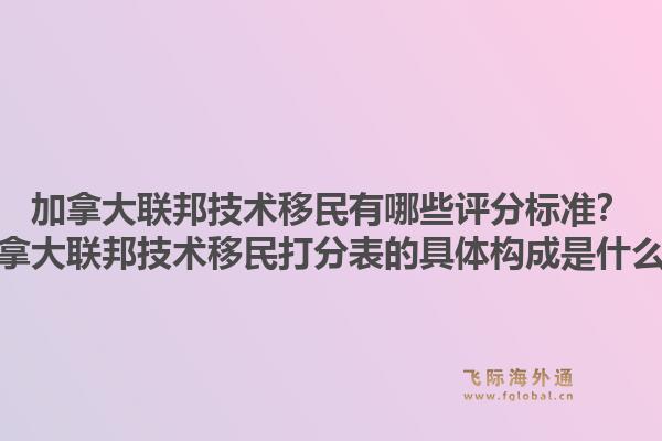 加拿大联邦技术移民有哪些评分标准?加拿大联邦技术移民打分表的具体构成是什么?1.jpg