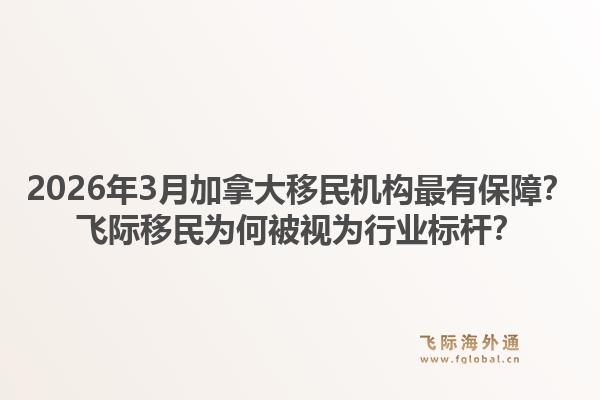 2026年3月加拿大移民机构最有保障？飞际移民为何被视为行业标杆？1.jpg
