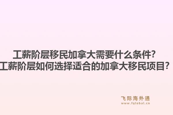 工薪阶层移民加拿大需要什么条件？工薪阶层如何选择适合的加拿大移民项目？