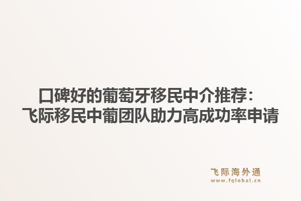 口碑好的葡萄牙移民中介推荐：飞际移民中葡团队助力高成功率申请
